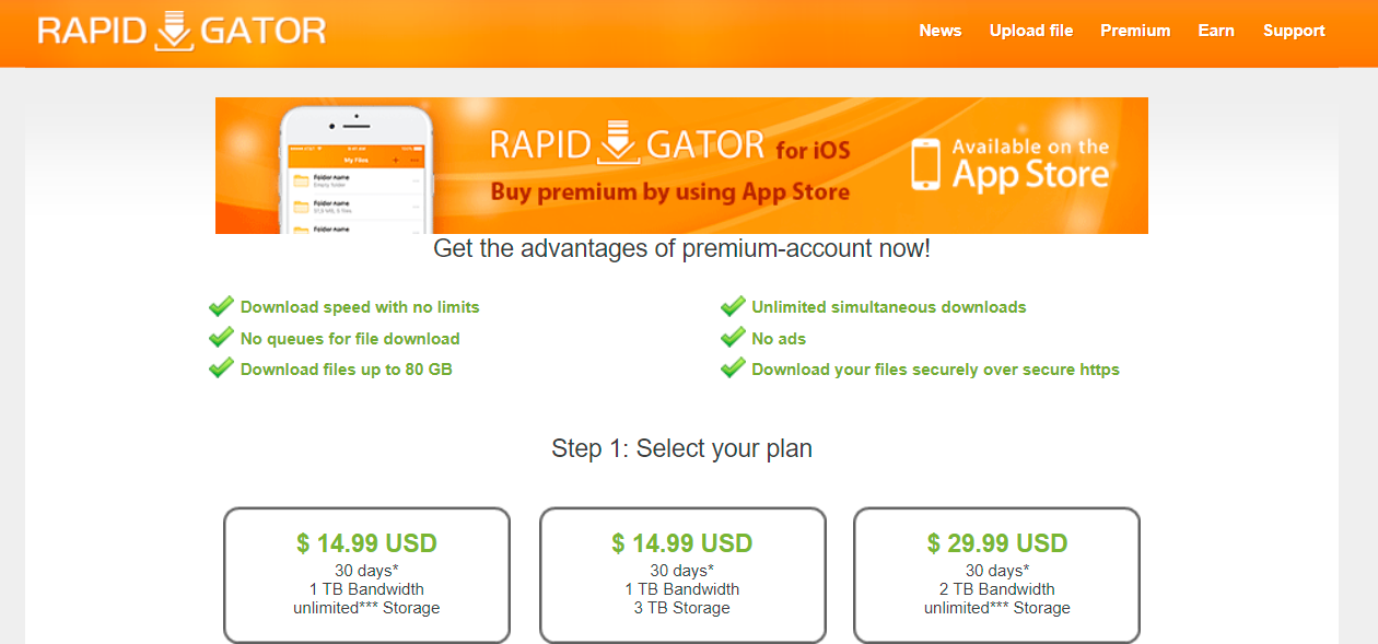 RapidGator Premium